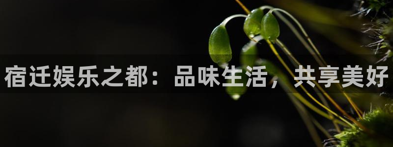 长运娱乐主管：宿迁娱乐之都：品味生活，共享美好