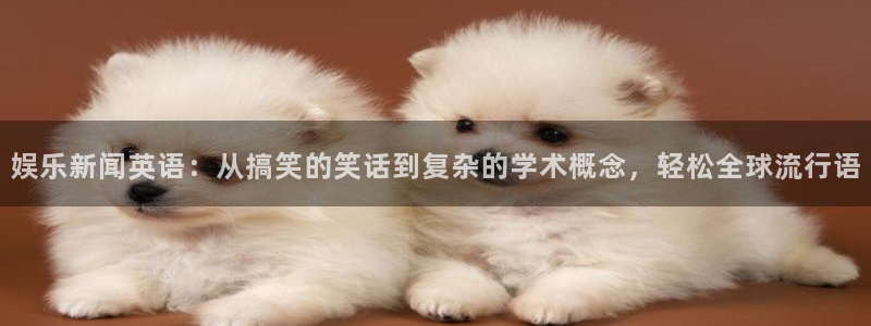 长运娱乐主管：娱乐新闻英语：从搞笑的笑话到复杂的学术概念，轻松全球流行语