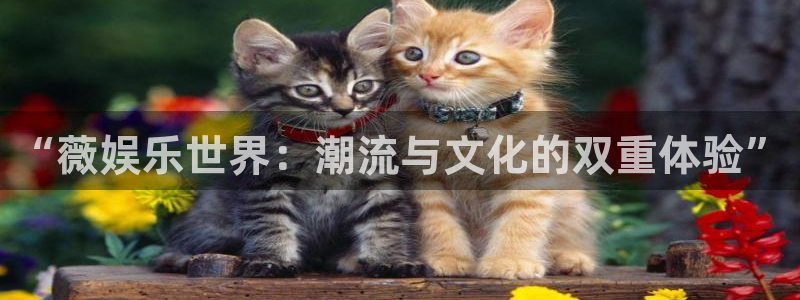 长运娱乐账号登录网站：“薇娱乐世界：潮流与文化的双重体验”