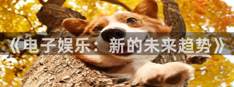 长运娱乐主管：《电子娱乐：新的未来趋势》